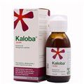 Kaloba Xarope 100Ml