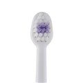 Vitis Baby Toothbrush