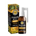 Black Bee Pharmacy Spray Propolis 20Ml