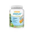 Epaplus Arthicare Maintenance 334.38 g Matcha Tea Flavor