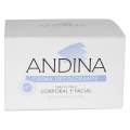 Andina Crema Decolorante 30Ml