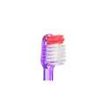 Vitis Dental Toothbrush Adult Gum